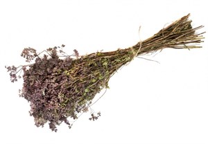 Сбор трав Шалфей мускатный VdRJe9qUiTCILbF-1Pjvy3