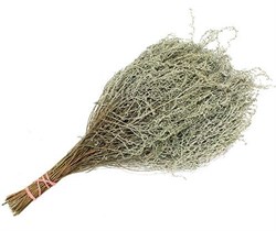 Полынь Крымская Таврическая 94Fe41khipP3L3ef1LeM12