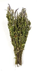 Сбор трав Мята перечная cCqJocHZjPVyuB3aVSSNX0