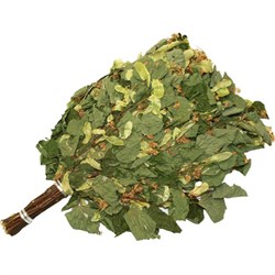 Веник Липа премиум с пакетом qIJJ0hbMigic09EuvpTmf1