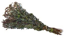 Сбор трав Мята ментол bX3YwSNKies58micAEUZ21