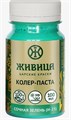 Живица Колер Сочная зелень (И-23) 100мл НФ-00001868 11534